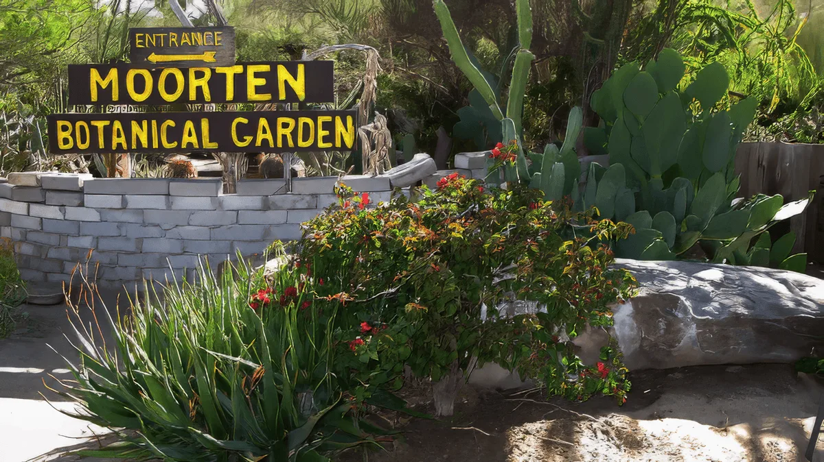 moorten-botanical-garden-palm-springs-cactus-garden-gallery-13