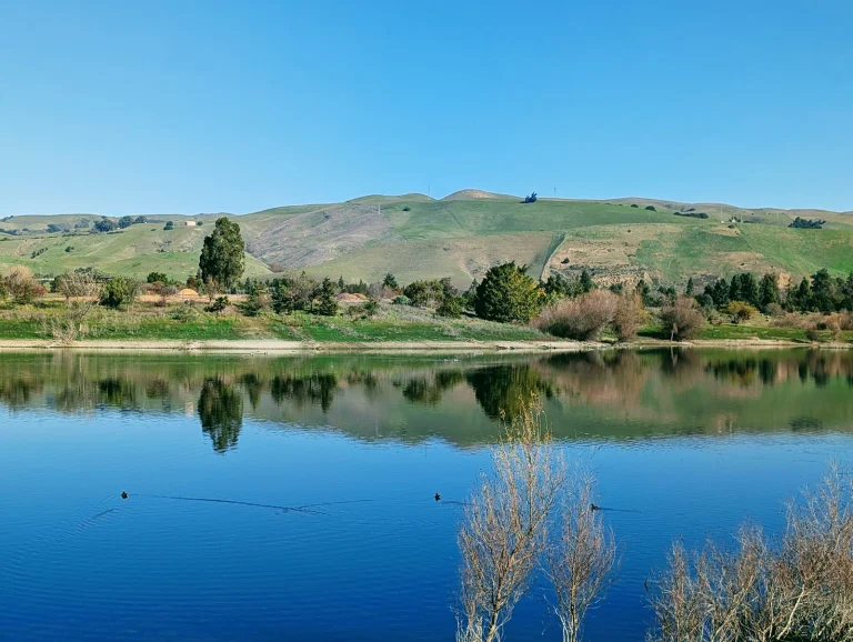 Quarry Lakes Regional