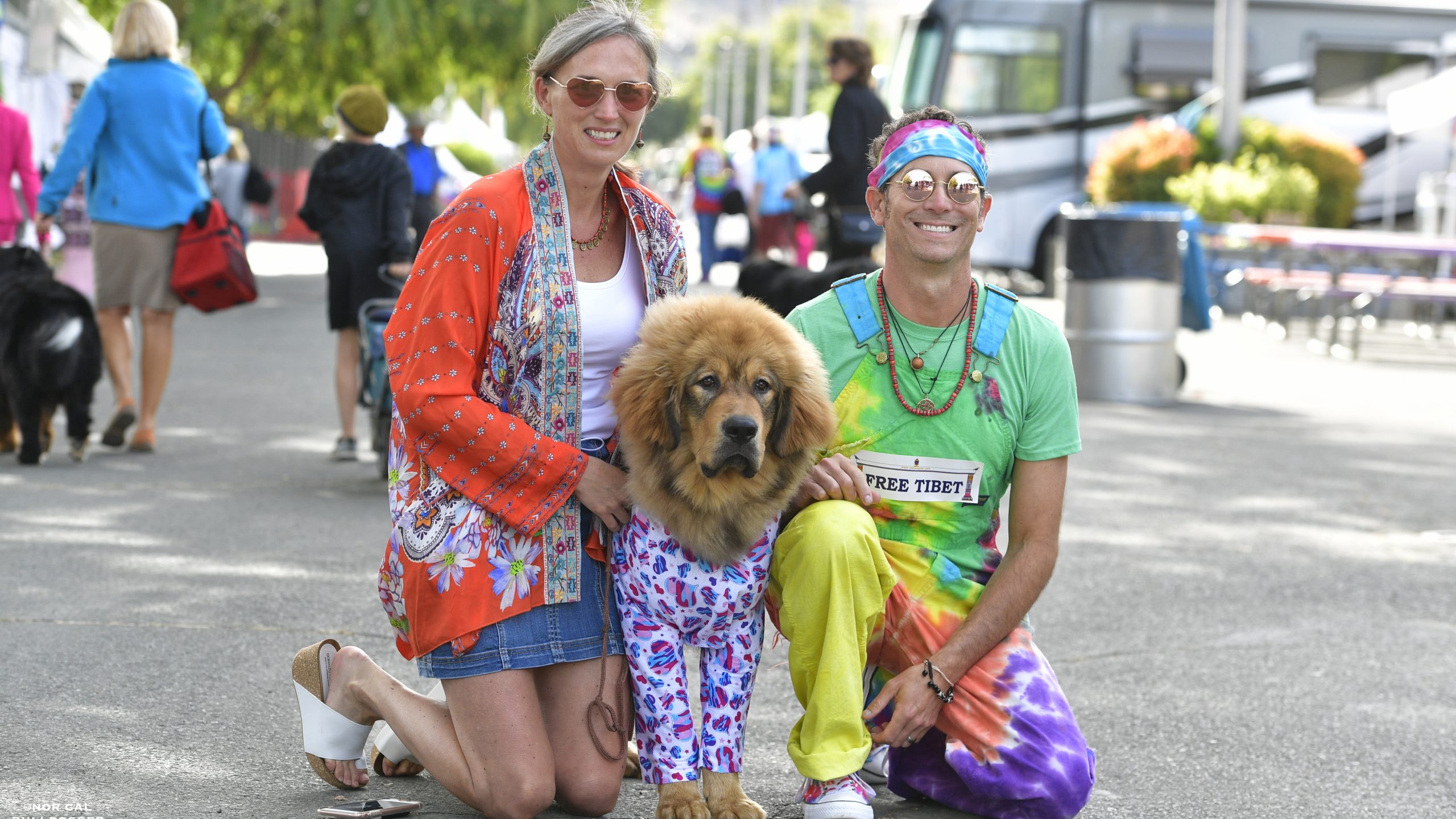 A man and a woman, both dressed in brightly colored bohemian clothing, kneel beside their large, fluffy dog. The dog is also wearing a vibrant outfit. They are outdoors at Woofstock, surrounded by people and tents. The man holds a sign that reads "Free Tibet.