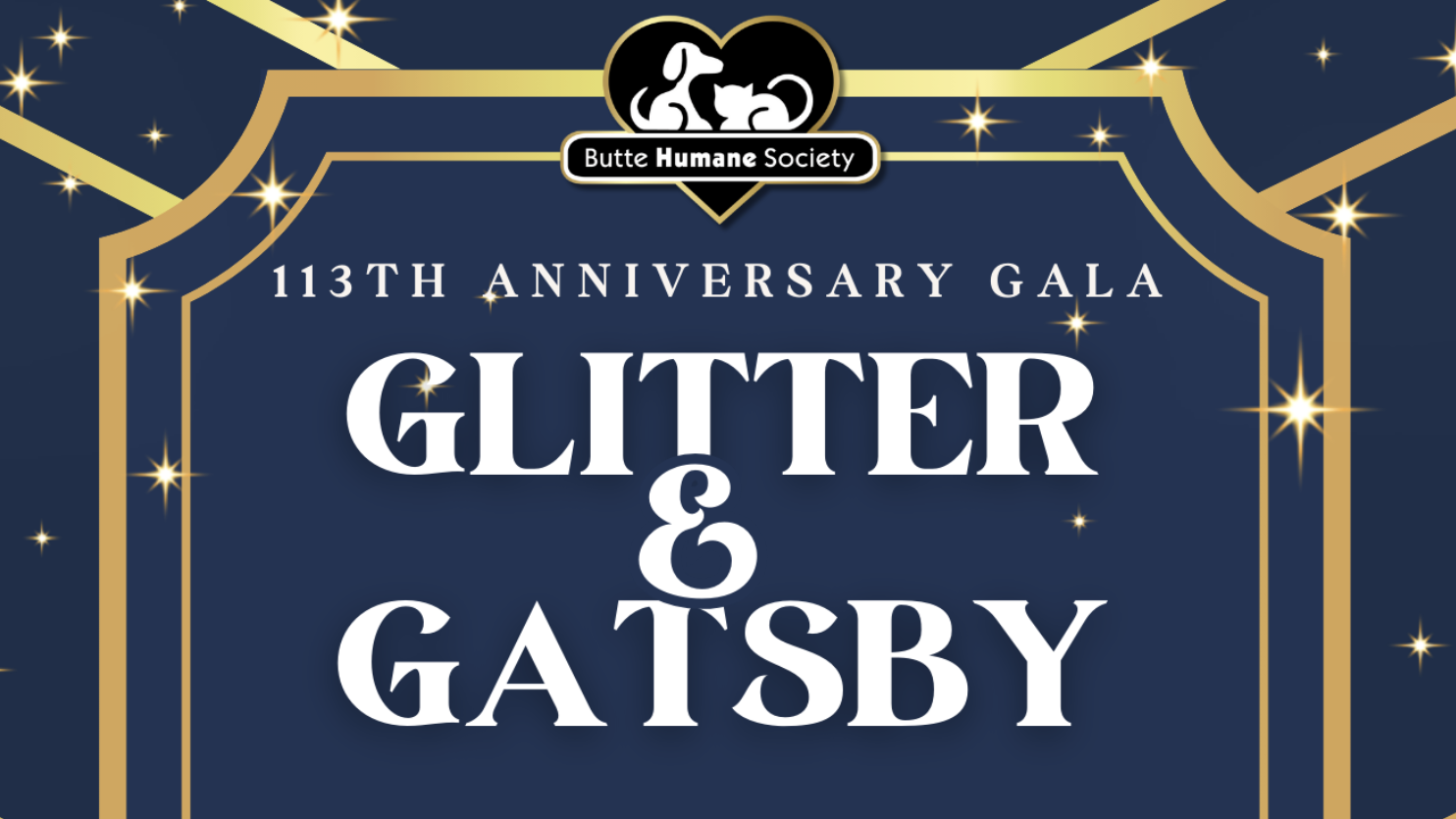 Welcome to the Glitter & Gatsby Gala: a grand spectacle meticulously crafted to mark the venerable 113th anniversary of Butte Humane Society. Revel in the opulence of the art deco-inspired design, where sophisticated navy blue plays backdrop to gleaming gold frames and twinkling stars.