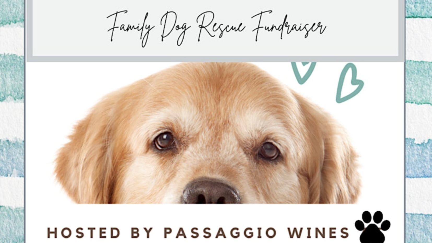 Eye-catching banner showcasing an adorable Golden Retriever, prominently sharing the dates and details of Passaggio Wines' forthcoming "Family Dog Rescue" fundraising event.