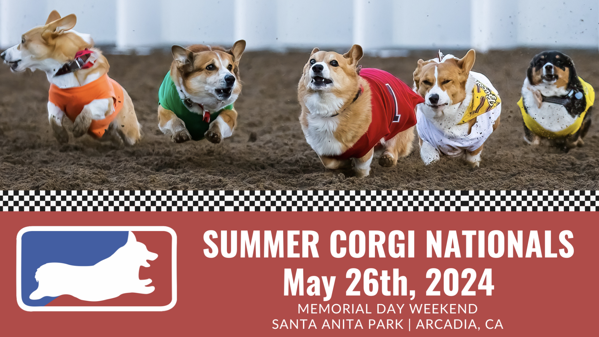 Five corgis in colorful jerseys race on a muddy track. The text reads: "Summer Corgi Nationals May 26th, 2024 Memorial Day Weekend Santa Anita Park | Arcadia, CA." A corgi silhouette logo appears on the left.