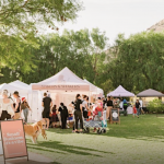 On a sunny summer day, a community outdoor market is alive with activity as people browse vendor tents. A sign nearby reads "Small Business Saturday". Among the visitors, a person walks their dog on a leash. The stall-lined paths are set against green trees and hilly terrain.