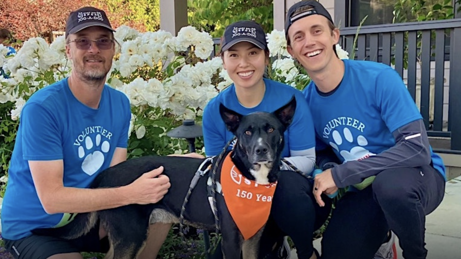 Three volunteers in blue shirts and hats stand with a black dog in front of a garden filled with white flowers. The dog from the East Bay SPCA wears an orange bandana that says "150 Years.