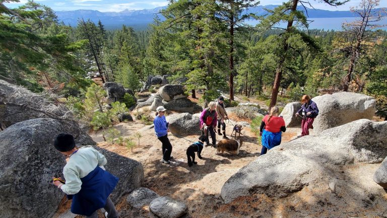 A group of people and their dogs hike through a rocky trail in a forested area. Large boulders and tall trees surround them. They take in the scenic view of South Lake Tahoe's lake and mountains under a clear sky, enjoying the fall season.