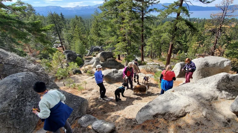 Wild Blue Fall dog camp hike