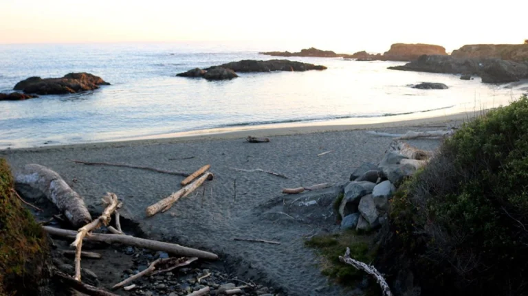 shell-beach-sea-ranch-1330