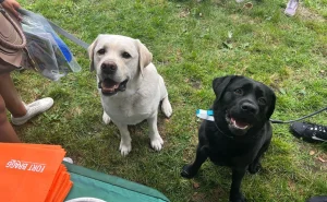 Image from Newsletter archives on DogTrekker