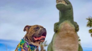 A dog wearing a brightly colored bandana sits contentedly on a pathway, its tongue hanging out. Behind it stands a large green dinosaur statue, one of California's notable historical landmarks. The sky is mostly clear with some clouds scattered above. In the background, several people stroll by and take in the sight of the dinosaur.