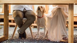 Under a table at a Sacramento restaurant, a seated man in brown pants and a woman in a cream-colored skirt sit with their legs crossed. A tan dog with a red collar stands between them, looking up.