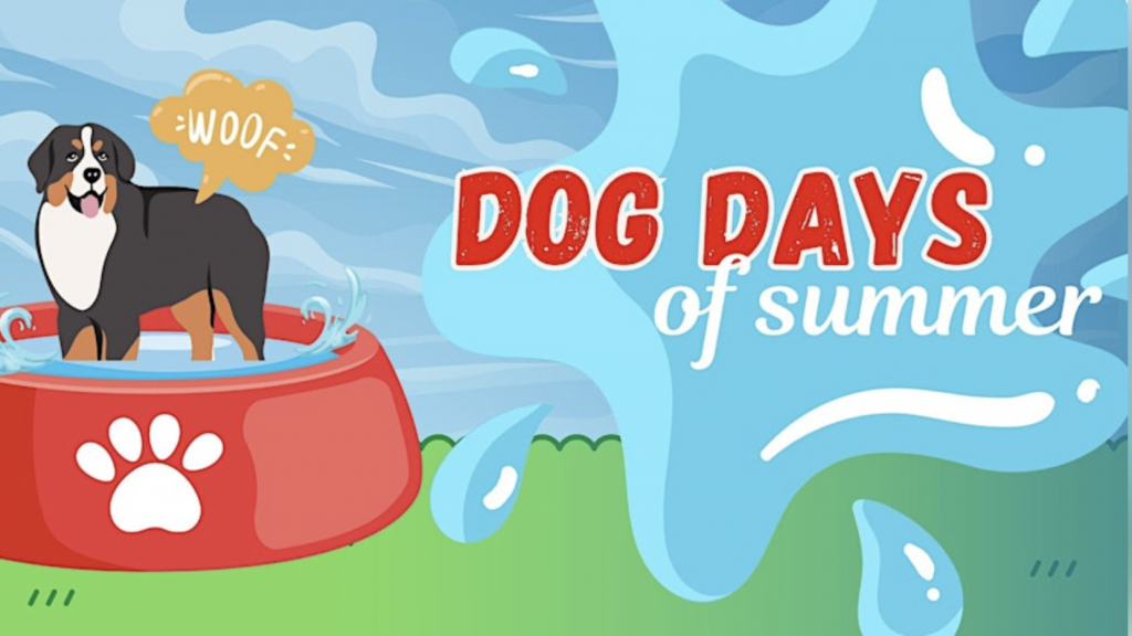 A cartoon dog stands in a red water-filled pet bowl, saying "Woof" in a speech bubble. The phrase "Dog Days of Summer" is on a blue splash background. Green grass and a blue sky with clouds create the setting.