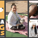 A vibrant collage showcases families and friends with their dogs seated on blankets at "DTLA Dog Days in Pershing Square." The scenes depict attendees interacting with their pets, framed by the park's greenery and clear skies. The event logo stands out amidst the lively backdrop.