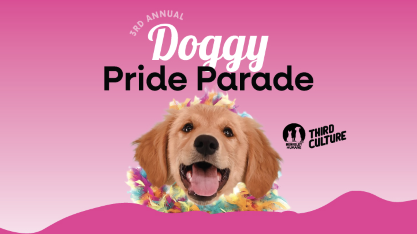 The flyer for the 3rd Annual Doggy Pride Parade shows a golden retriever puppy wearing a rainbow-colored fluffy collar. The pink background highlights the cheerful scene. This event, presented by Berkeley Humane and Third Culture, invites you to join in the fun with your dogs.