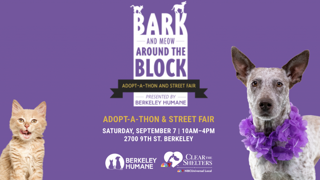 **Adopt-a-thon and Street Fair: Bark and Meow Around the Block**

**Event Details:**
- **Host:** Berkeley Humane
- **Date:** Saturday, September 7
- **Time:** 10 AM - 4 PM
- **Location:** 2700 9th St, Berkeley

**Visuals:**
The flyer shows a playful cat and dog, capturing the spirit of the event.