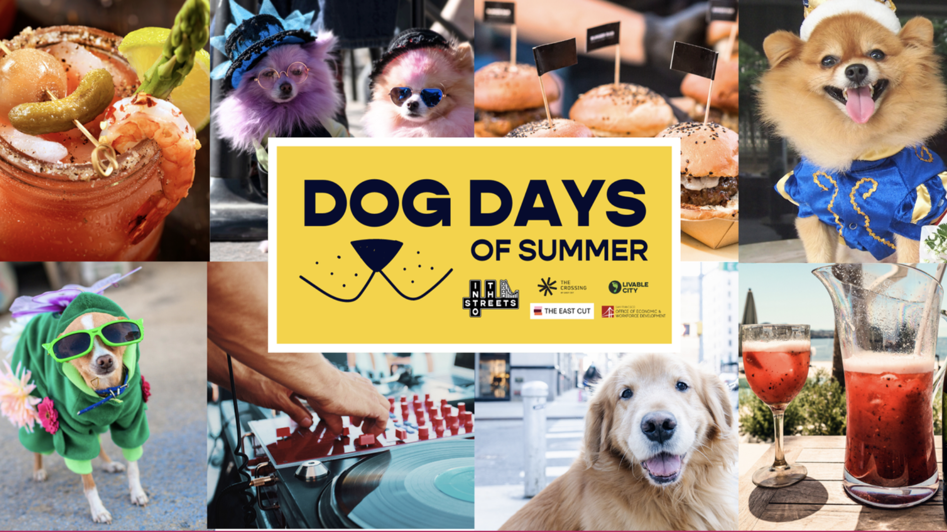 A collage promoting the "Dog Days of Summer" event. Surrounding the central text are dogs in summer-themed costumes, burgers, drinks, and a dog-themed DJ setup. Each dog is energetic and lively in their colorful attire.