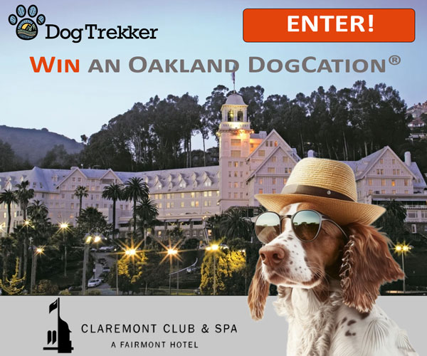 Promotional image showcasing a refined hotel under a clear blue sky, encircled by trees. A dog wearing sunglasses and a hat is in the foreground. Text on the image includes: "DogTrekker", "Enter!", "Win an Oakland DogCation," and "Claremont Club & Spa, A Fairmont Hotel." Visit our newsletter archives for further details.