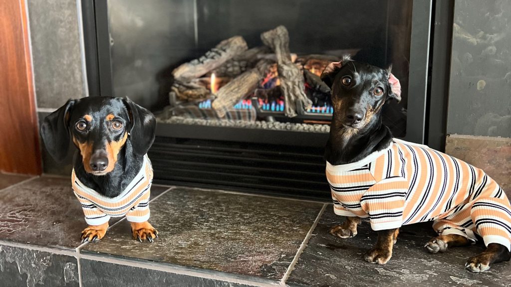 Two dachshunds in matching striped pajamas sit by a lit fireplace at Little River Inn. The left one is standing with its ears drooping, while the right one sits, gazing at the camera. Both dogs seem comfortable and at ease.