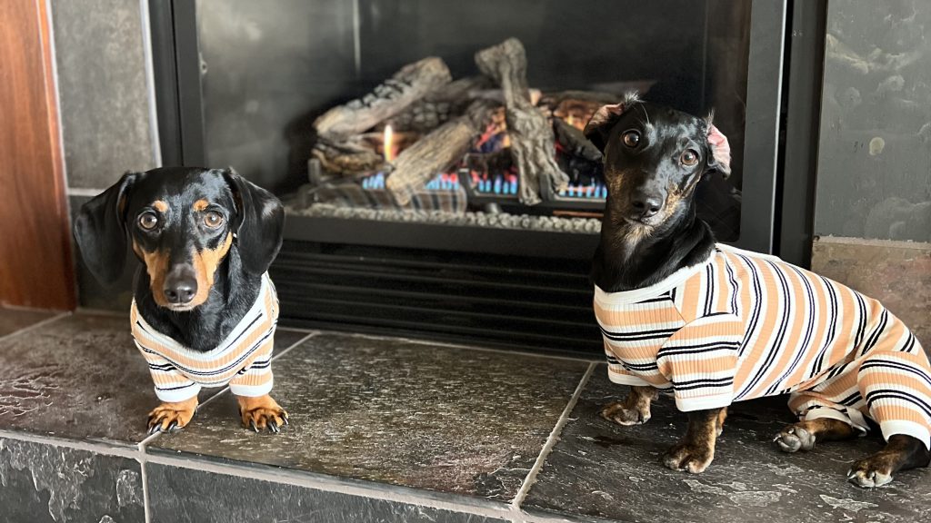 Two dachshunds in matching striped pajamas sit on the hearth in front of a lit fireplace. Their glossy black and brown fur stands out against the warm glow of the fire. The stone fireplace, evoking a cozy cabin atmosphere, adds to the intimate setting as they look into the camera.