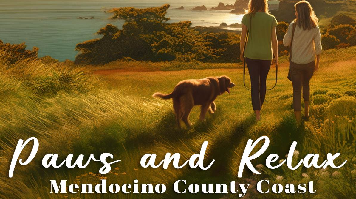 Two people walk a dog on a grassy path with views of the coast at sunset near the Little River Inn. The phrase "Paws and Relax" and "Mendocino County Coast" are shown over the image.