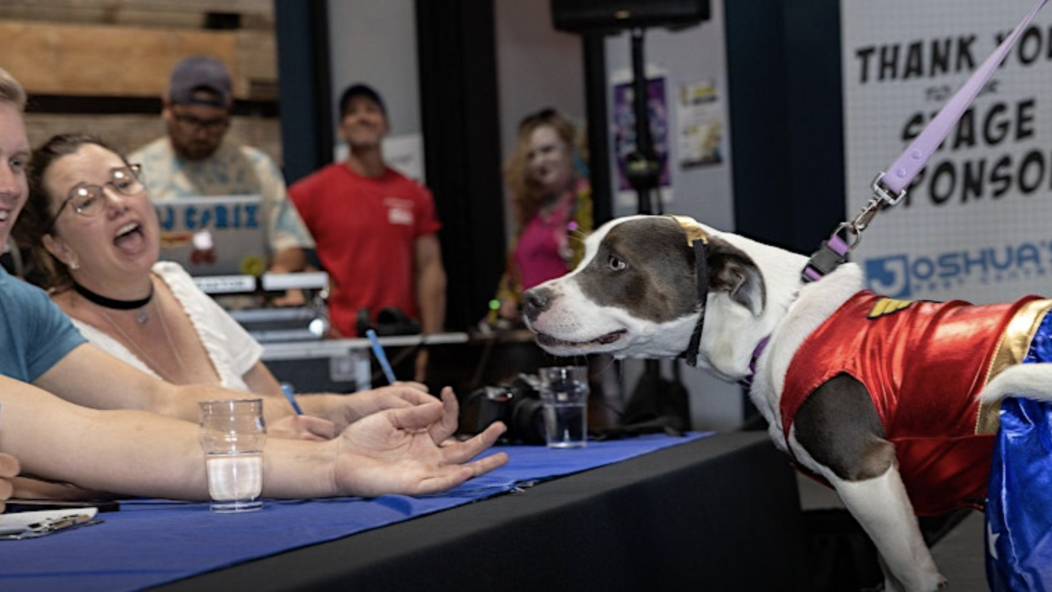 A dog in a superhero costume stands atop a table, facing an attentive panel of judges who seem both amused and pleased. The judges, composed of both men and women, watch intently. Behind them, more people gather around a banner that expresses gratitude to the event's sponsors.