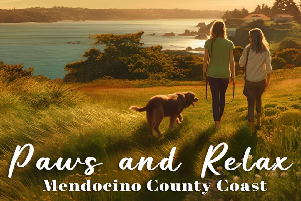 Two people walk a dog along a coastal trail surrounded by lush greenery, with a sunset in the background. The text "Paws and Relax" and "Mendocino County Coast" invites readers to explore our newsletter archives for more peaceful activities.