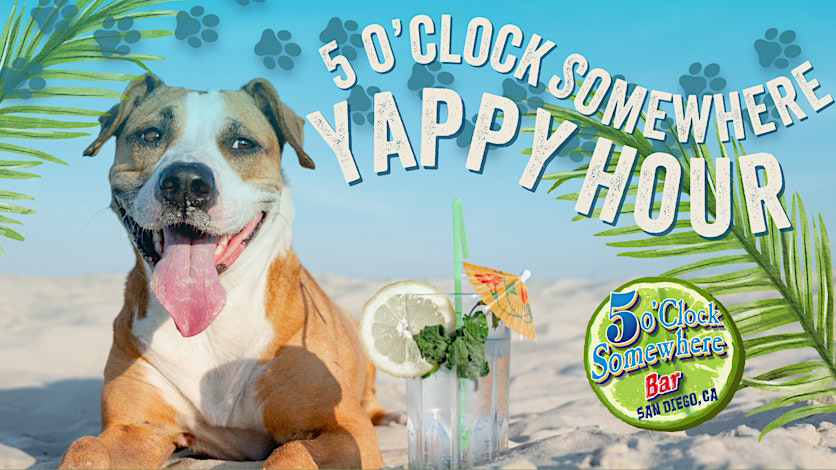 A dog sits on a sandy beach beside a cocktail with a mini umbrella. Behind it, text reads, "Yappy Hour" and "5 O'Clock Somewhere Bar San Diego, CA". Tropical palm leaves and paw prints decorate the background.