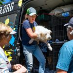 A woman lifts a small white dog from a van marked "Compassion Without Borders." Nearby, two people—one in a plaid shirt and the other in a blue staff shirt—watch. The cages inside the van and trees in the background suggest that this organization rescues dogs from Mexico.