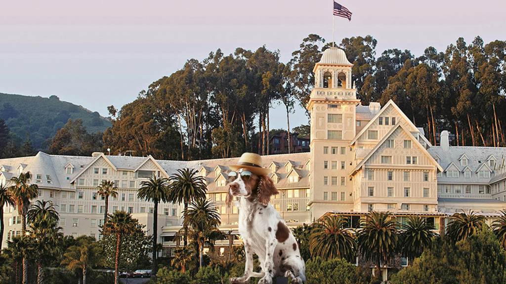 A dog, adorned with sunglasses and a straw hat, sits before the grand facade of a the Claremont hotel in Oakland.