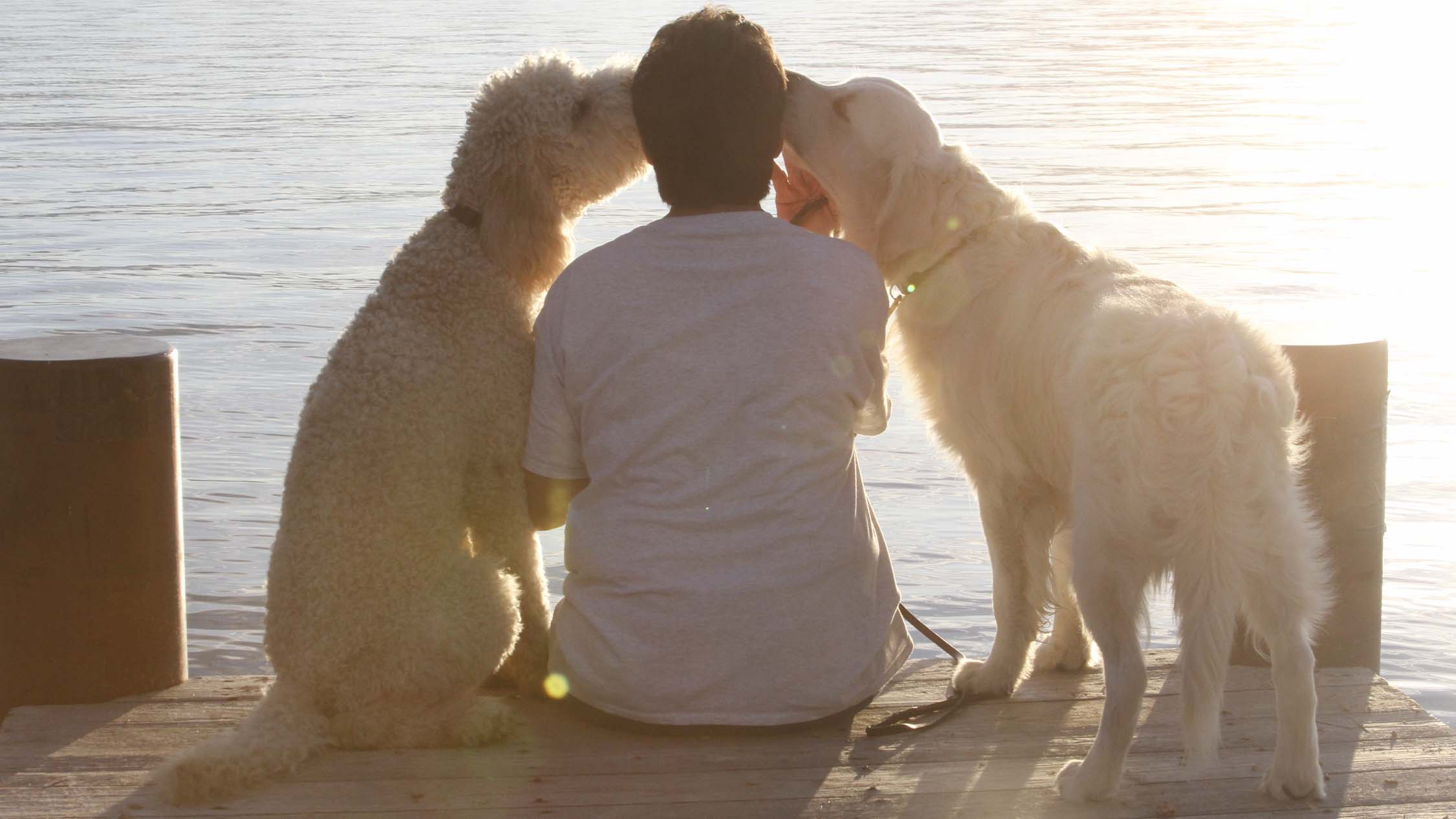 A person sits on a wooden dock at sunset, flanked by two large dogs. The person is facing away from the camera and being licked on both sides of their face by the affectionate dogs. Calm waters of Lake Tahoe and soft sunlight provide a serene backdrop, creating a moment of simple companionship and peace.