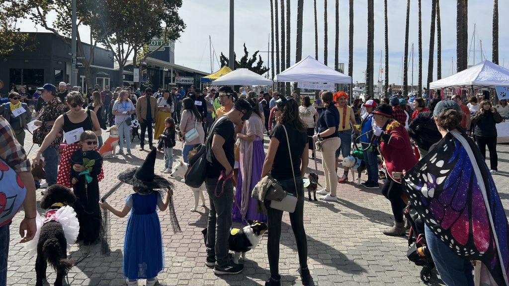 A lively outdoor, seasonal event where attendees in costumes like witches and butterflies gather. Numerous tents are set up, surrounded by trees and buildings. It's a dog-friendly occasion with some dogs dressed up and interacting cheerfully with the people.