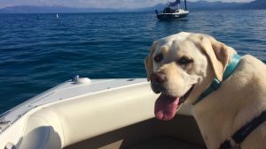 Maya on a boat at Lake Tahoe.