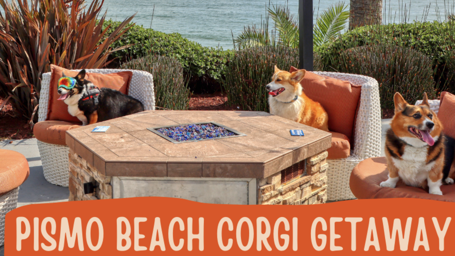 Three corgis sit on cushioned chairs around a fire pit by the beach. One corgi wears goggles. In the background are greenery, the ocean, and a palm tree. The text at the bottom reads "Pismo Beach Corgi Getaway.