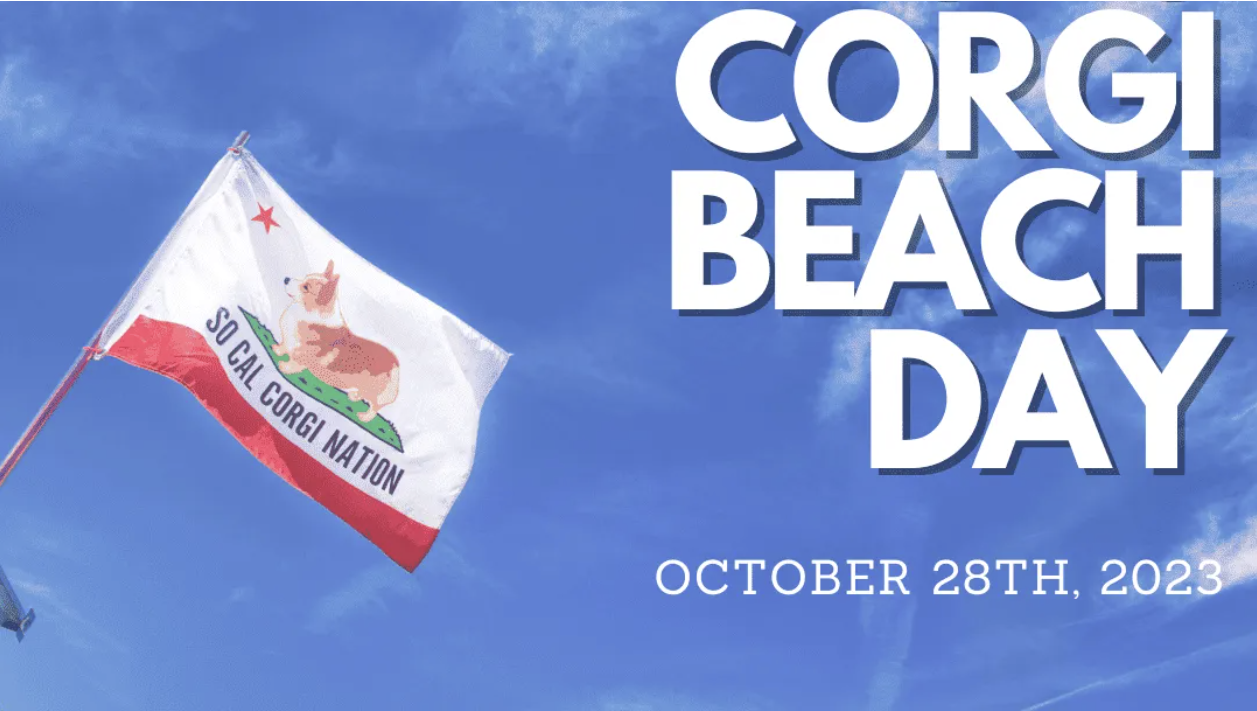 A white flag with a picture of a corgi and the words "So Cal Corgi Nation" waves against a blue sky. On the right side, bold white text announces "Corgi Beach Day" set for October 28th, 2023. This event is highlighted as one of the top activities to enjoy with your dog this fall season.