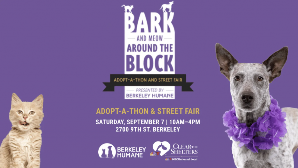 A purple event flyer showcases a dog wearing a purple scarf. The text reads: "Bark and Meow Around the Block - Adopt-a-thon and Street Fair, hosted by Berkeley Humane. Saturday, September 7, from 10 AM to 4 PM at 2700 9th St, Berkeley. Join us for fall festivities! Sponsored by Berkeley Humane and Clear the Shelters.