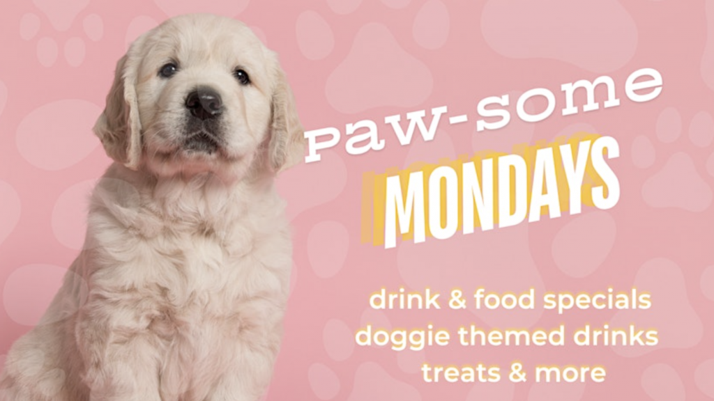 A fluffy white puppy on a pink background with paw prints sits next to the text "Paw-some Mondays." The message highlights drink and food specials, dog-themed beverages, treats, and more in white and yellow fonts. Join us for pet care tips and other activities tailored for dog enthusiasts.