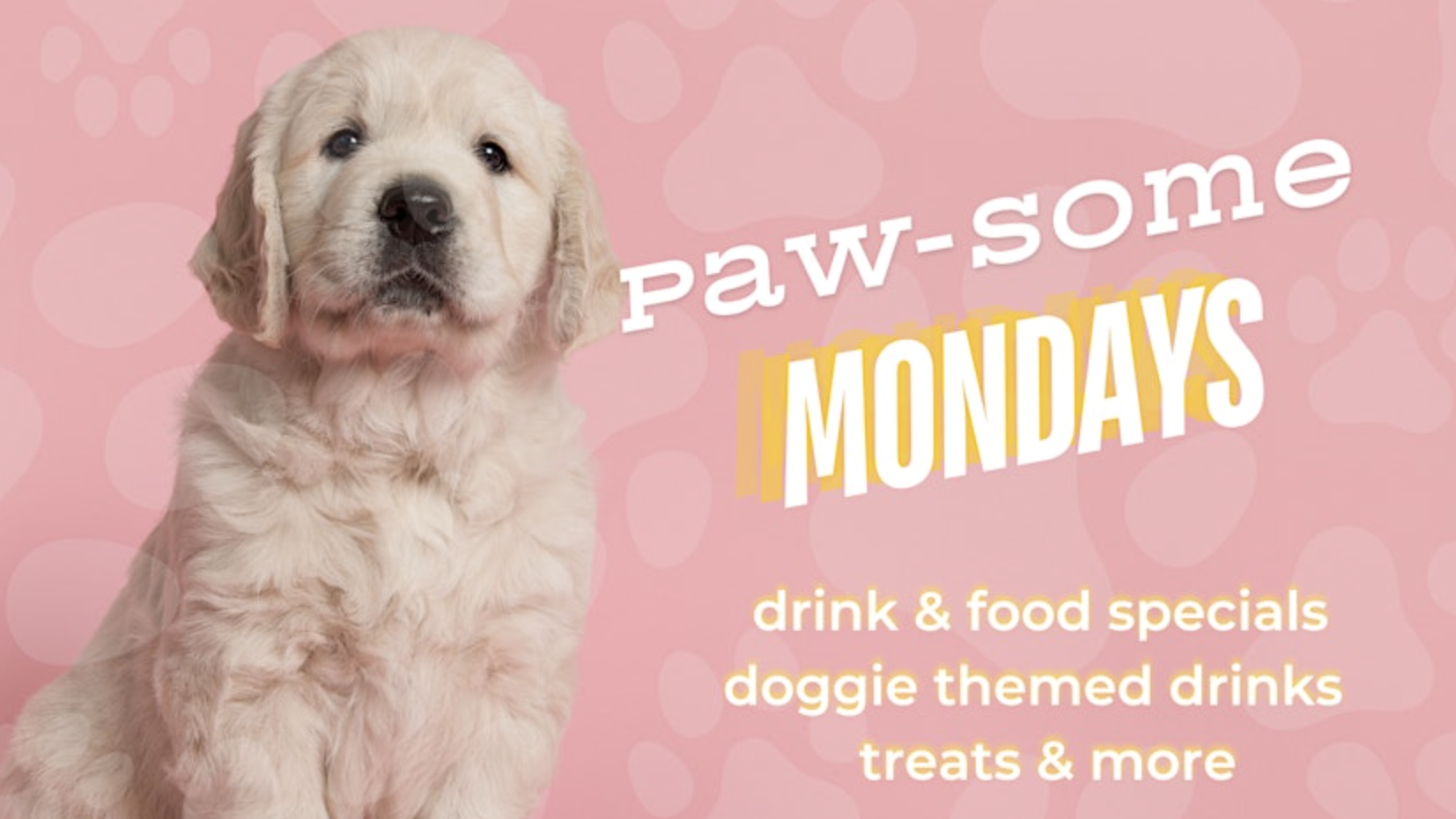 A fluffy white puppy on a pink background with paw prints sits next to the text "Paw-some Mondays." The message highlights drink and food specials, dog-themed beverages, treats, and more in white and yellow fonts. Join us for pet care tips and other activities tailored for dog enthusiasts.