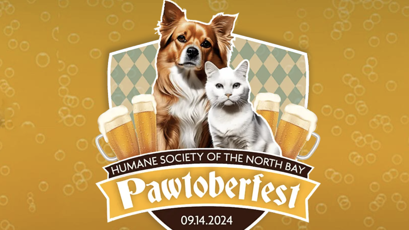 **Pawtoberfest Pet Festival***Hosted by the Humane Society of the North Bay***Date:** 09.14.2024- Illustration: Dog and cat with four beer glasses- Banner: Event Details**Background:** Orange with bubbles