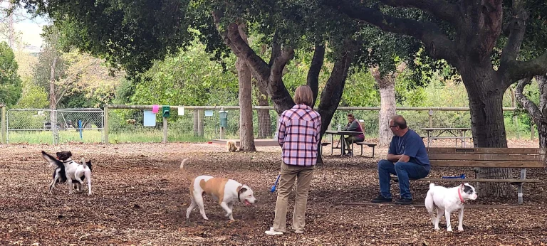 El Chorro Dog Park