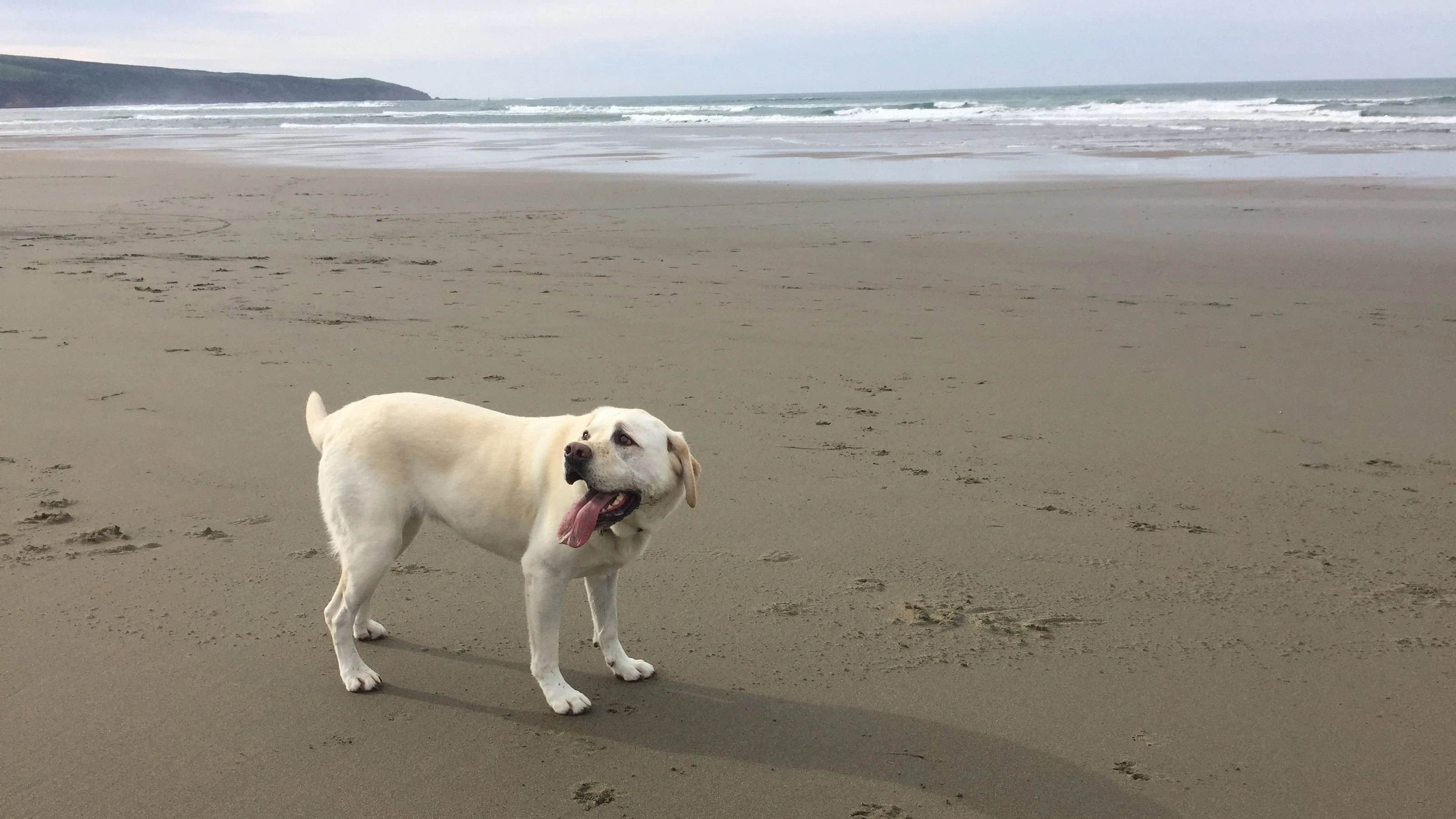 Maya at Dillon Beach.
