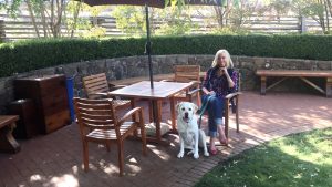 A woman is seated under a patio umbrella in her Sacramento backyard with a small dog on her lap. A labrador sits next to them on the ground. The patio features wooden furniture, a stone wall, and lush greenery in the background, providing a calm outdoor space.