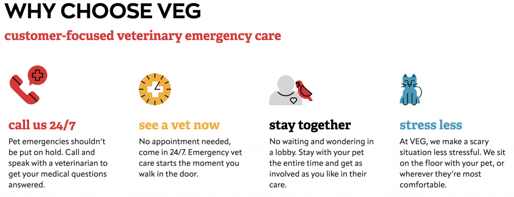 An infographic titled "WHY CHOOSE VEG" outlines the advantages of a Veterinary Emergency care service. Key points include:- 24/7 call availability- No need for an appointment to see a vet- Option to stay with your pet during treatment- Reduced stress during vet visitsEach point is paired with an icon for clarity.