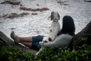 Dog-friendly Bay Area spring getaways under 2 hours