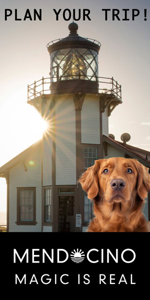 A lighthouse stands against a sunlit sky, with a golden retriever nearby. At the top, "Plan Your Trip!" is displayed. The bottom reads "Mendocino - Magic is Real." Explore Mendocino County wineries for an unforgettable experience.