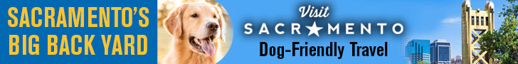 A banner displays a golden retriever next to the words "Sacramento's Big Back Yard" on the left. On the right, there is text reading "Visit Sacramento Dog-Friendly Travel," accompanied by an image of skyline buildings and the Tower Bridge under a clear blue sky.