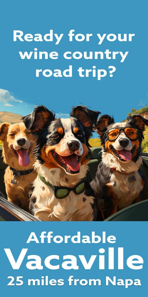 Three dogs wearing sunglasses ride in a convertible. The sky is clear and blue. The text says, "Ready for your wine country road trip? Affordable Vacaville, just 25 miles from Napa.