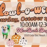 Event: Howl-O-Ween  Date: Saturday, October 19th  Time: 10:00 AM - 12:30 PM  Location: New Bark Dog Park, 35501 Cedar Blvd, Newark, CA 94560  Details:- Checkered orange background- Images of dogs and people in Halloween costumes