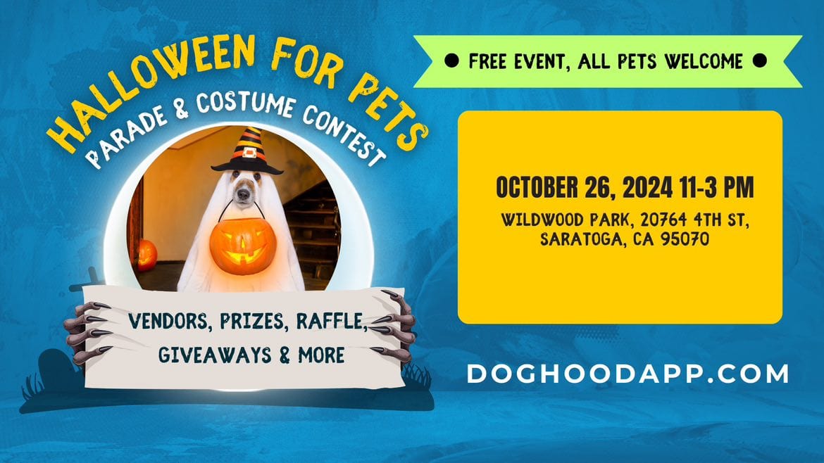 Attend the Halloween-themed Pet Parade and Costume Contest at Wildwood Park in Saratoga, CA, on October 26, 2024. Running from 11 AM to 3 PM, this event features a variety of vendors and the chance to win prizes. You'll see pets in creative costumes—picture a dog wearing a witch hat alongside a pumpkin. This event offers an engaging way for pet owners and their furry companions to enjoy the Halloween season together.