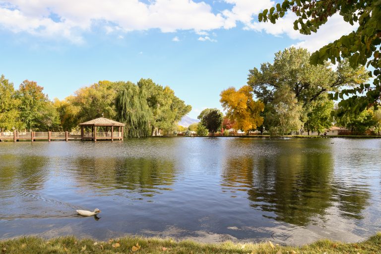 In Bishop City Park, a duck glides smoothly across the lake, framed by trees adorned in the vibrant hues of autumn. To the left, a wooden gazebo invites visitors to pause and enjoy the view. In the distance, a mountain rises under a partly cloudy sky, adding to the calmness of this scenic spot.