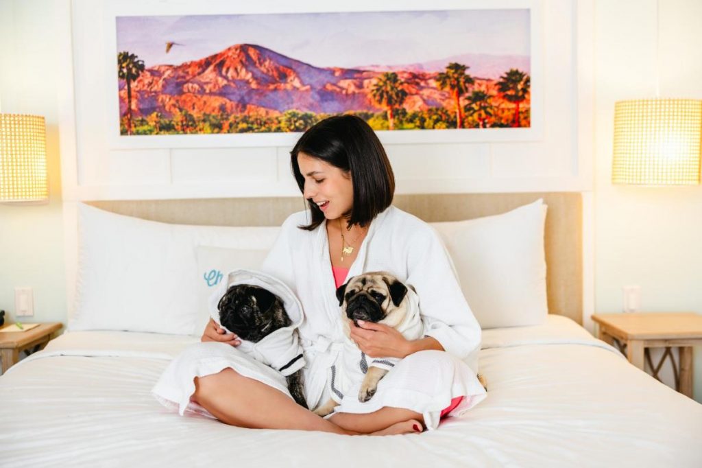 A person sits comfortably on a bed, wrapped in a white robe. In their arms are two pugs, each donning matching robes that mirror their owner’s relaxed demeanor. Behind them, a vibrant painting of mountains and palm trees evokes the spirit of Greater Palm Springs, creating an inviting backdrop for this dog-friendly moment.