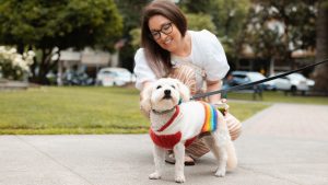 In Healdsburg, a woman in glasses and a white blouse kneels on the sidewalk, grinning at her small, fluffy dog. The dog wears a bright rainbow-striped sweater, its colors vivid against the warm tones of the setting sun. Behind them, trees and parked cars create a quaint scene.